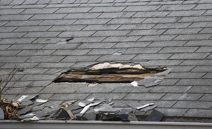 Roof Repairs services